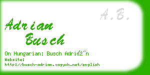 adrian busch business card